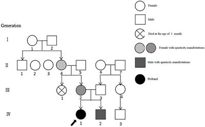 Spastic paraplegia is the main manifestation of a spinocerebellar ataxia type 8 lineage in China: a case report and review of literature